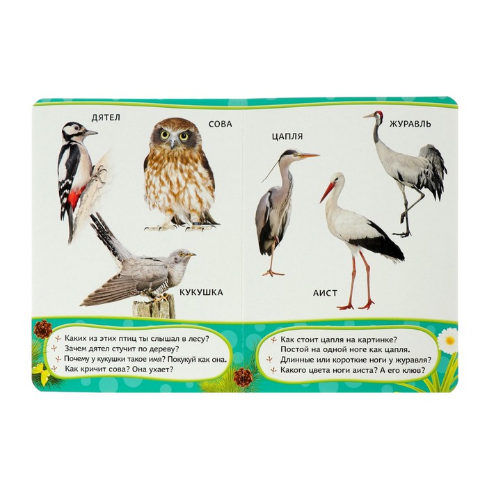 Всё-всё-всё для малышей «Птицы»