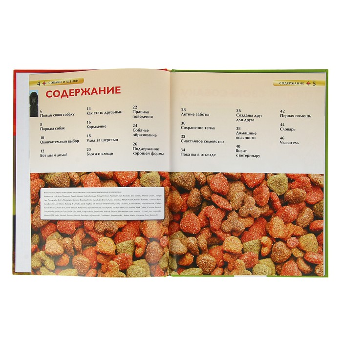 Детская энциклопедия «Собаки и щенки»