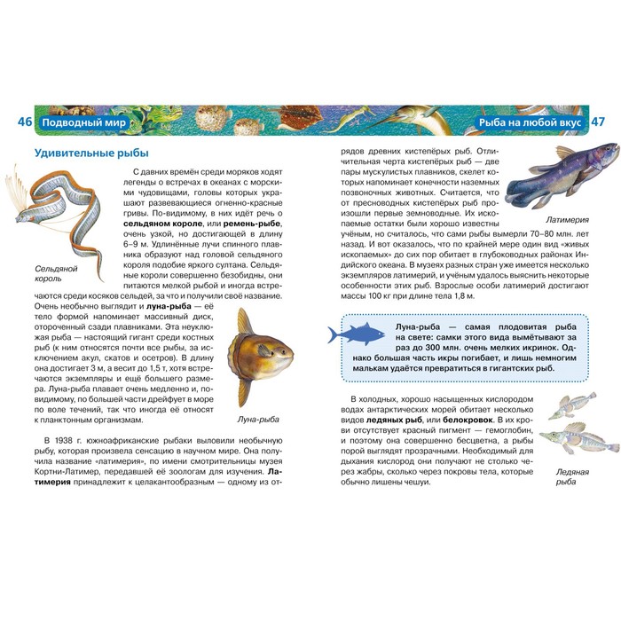 Детская энциклопедия РОСМЭН «Подводный мир»