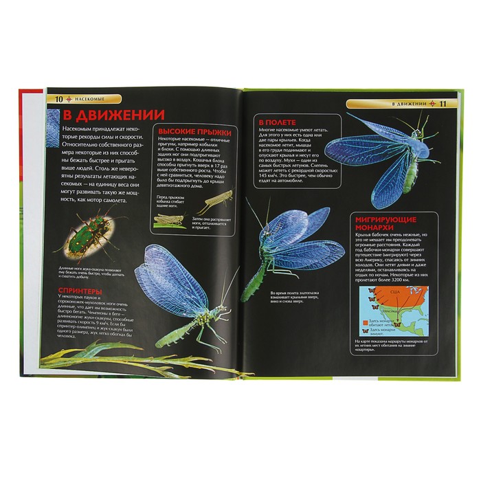 Детская энциклопедия «Насекомые»