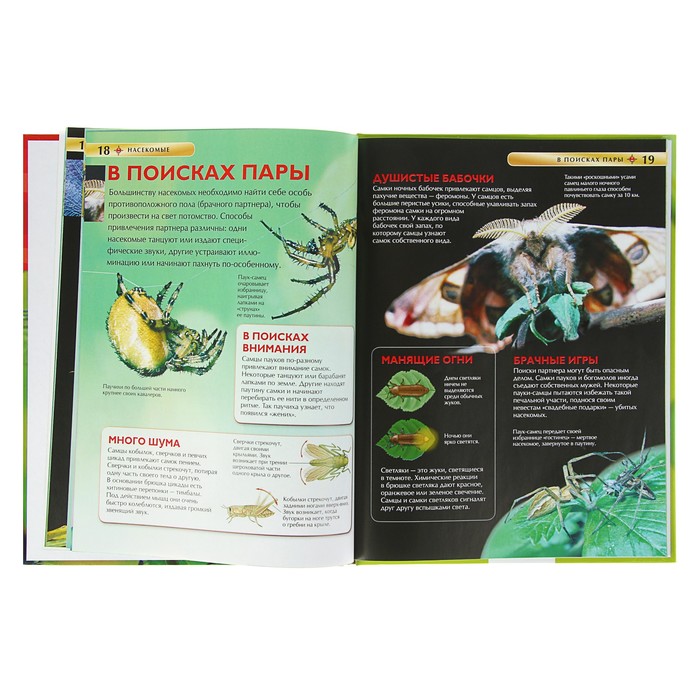 Детская энциклопедия «Насекомые»