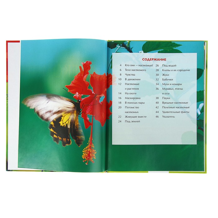 Детская энциклопедия «Насекомые»