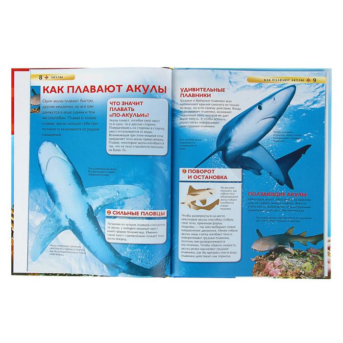 Детская энциклопедия «Акулы»