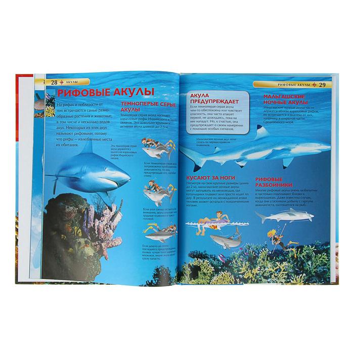 Детская энциклопедия «Акулы»