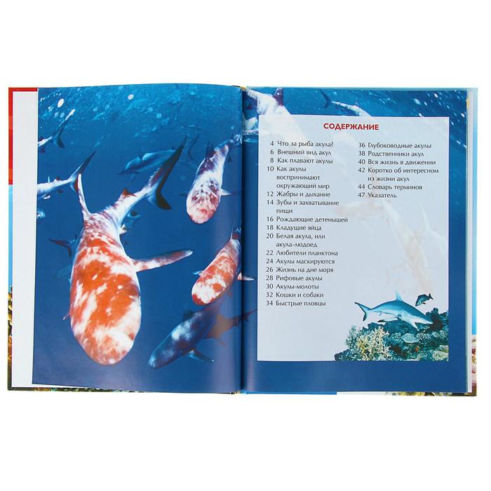 Детская энциклопедия «Акулы»