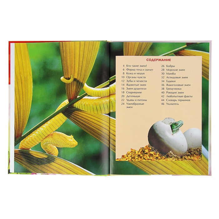 Детская энциклопедия «Змеи»