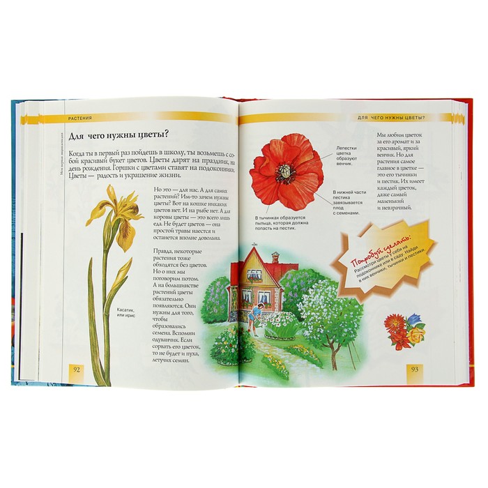 «Моя первая энциклопедия»