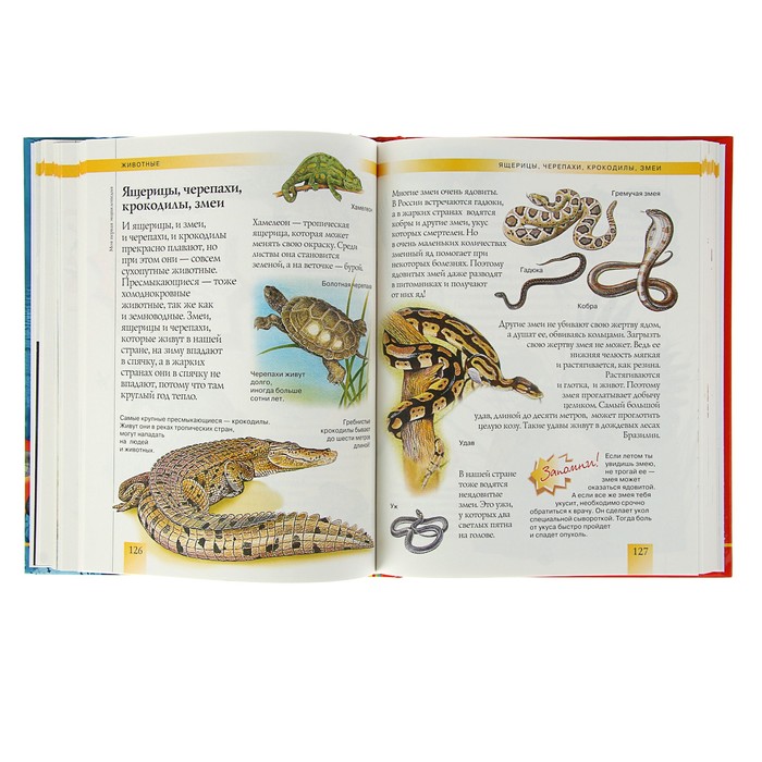 «Моя первая энциклопедия»