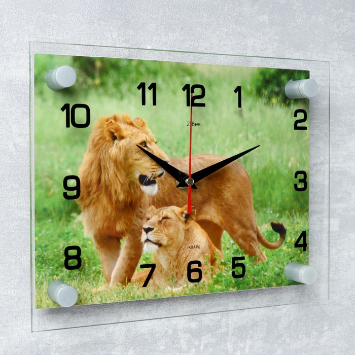 Часы настенные прямоугольные "Лев и львица", 20х26 см микс