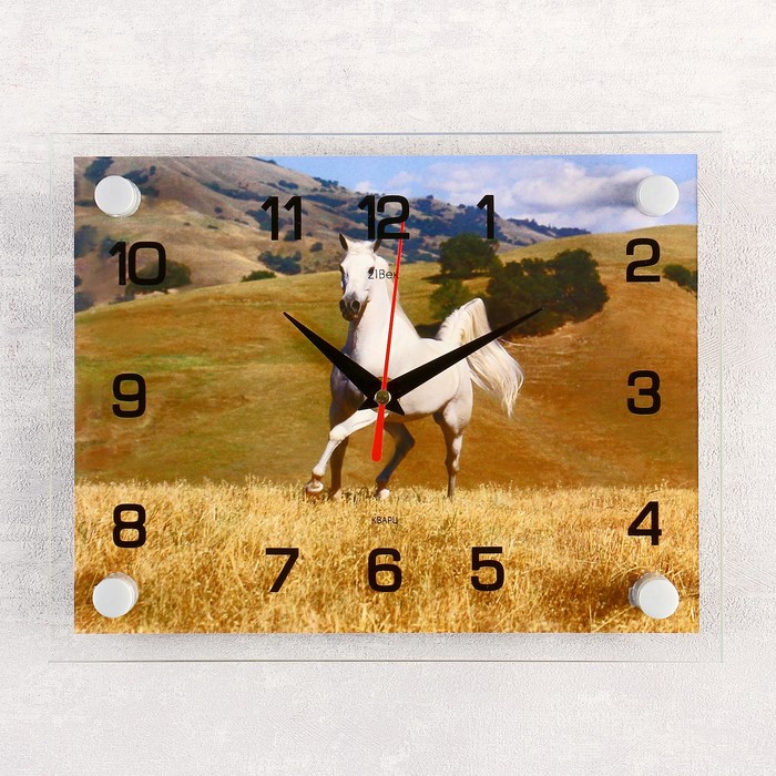 Часы настенные прямоугольные "Лошадь", 20х26 см микс