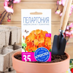 купить Семена комнатных цветов Пеларгония Oранж, 4 шт.