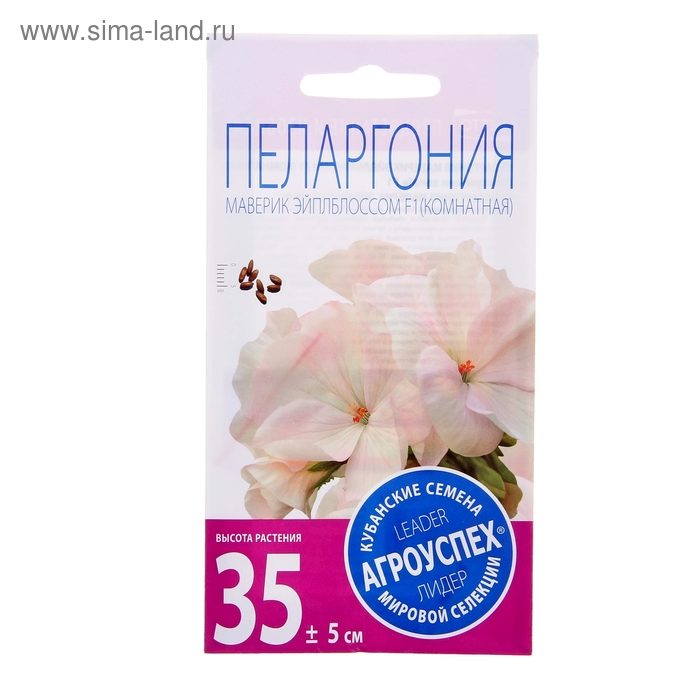 Семена комнатных цветов Пеларгония Эйплблоссом, 4 шт.