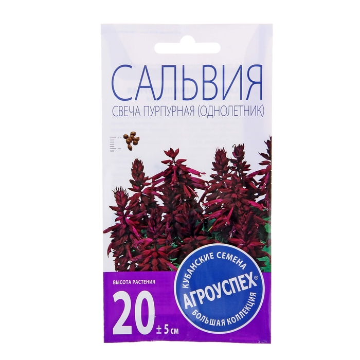 Семена цветов Сальвия Свеча пурпурная F1, О, 10 шт