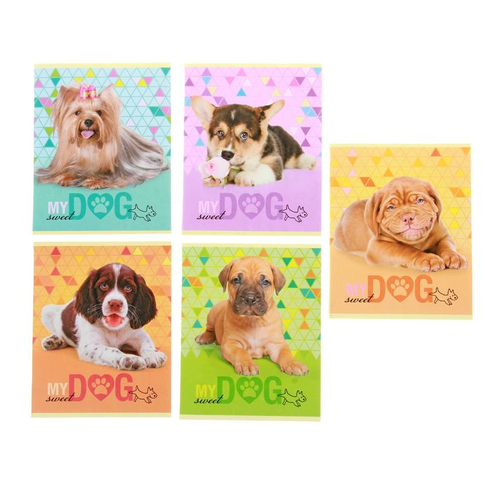 Тетрадь 48 листов клетка "Милые собачки", картонная обложка, тиснение, 5 видов МИКС