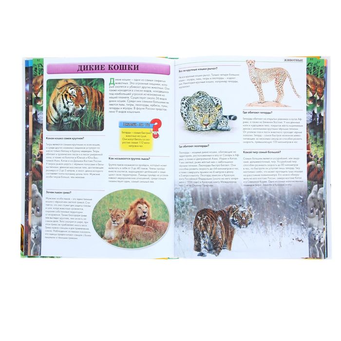 Детская энциклопедия. А что это? А кто это? А для чего это?