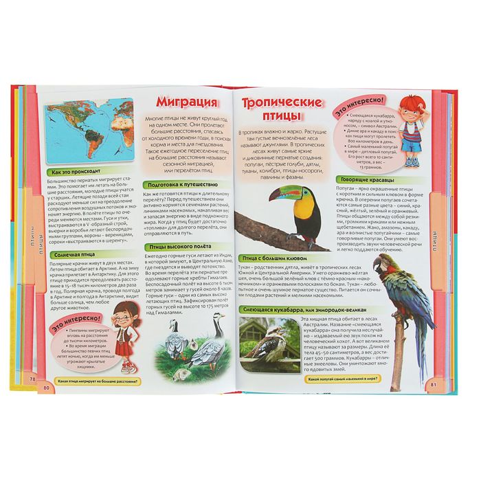 Современная энциклопедия для почемучек и любознашек