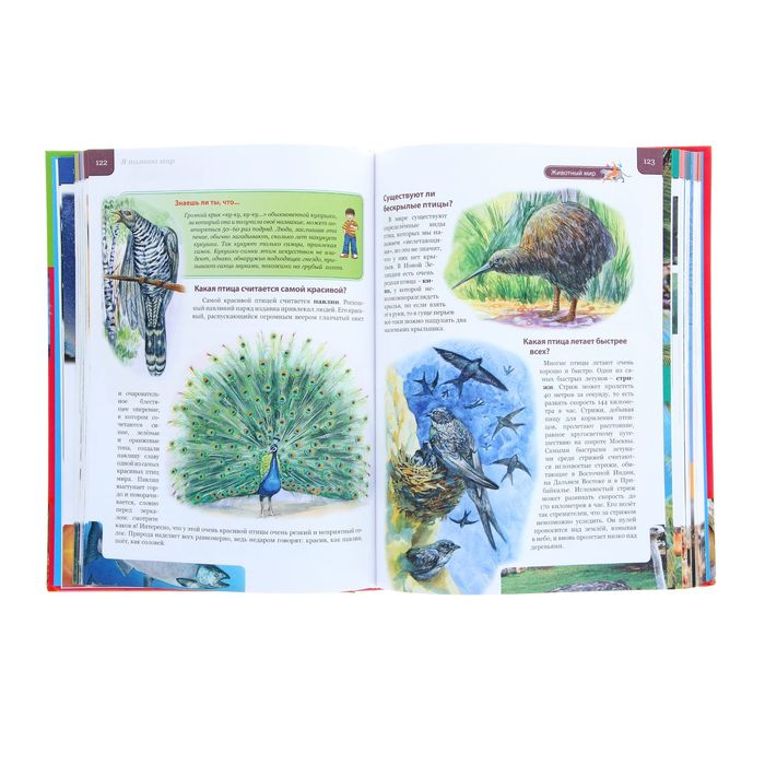 Первая энциклопедия маленьких почемучек