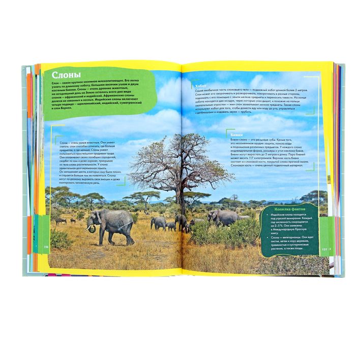 Про всё на свете. Большая энциклопедия для любознательных детей. Автор: Беленькая Т.Б.