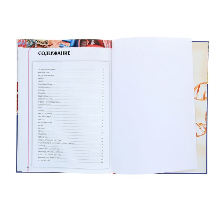 Детская энциклопедия. Анатомия человека