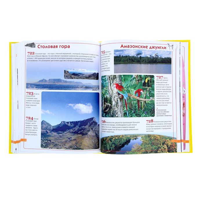 Современная детская энциклопедия. 1000 + 1 ответ на вопросы почемучек