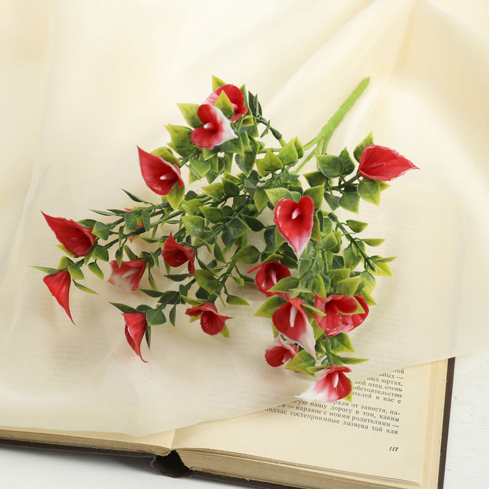 Букет "Каллы" микс