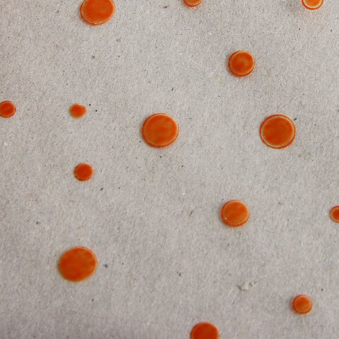 Пленка для цветов и подарков "Горох с каймой" оранжевый 0.7 х 7 м, 40 мкм