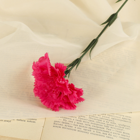 Цветы искусственные гвоздика розовая 50 см Ош