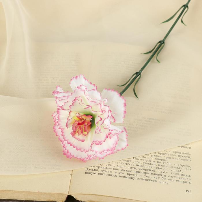 Цветы искусственные «Гвоздика» 45 см, белый цветы гвоздика