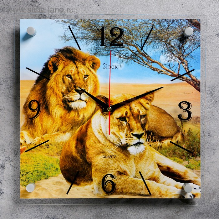 фото Часы настенные, серия: животный мир, "лев и львица", 35х35 см 21 век