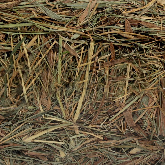 Сено LoLo Pets 500 гр