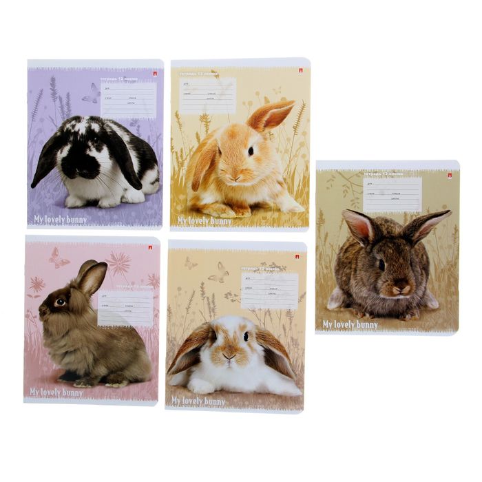 Тетрадь 12 листов клетка "Милые крольчата", 5 видов МИКС