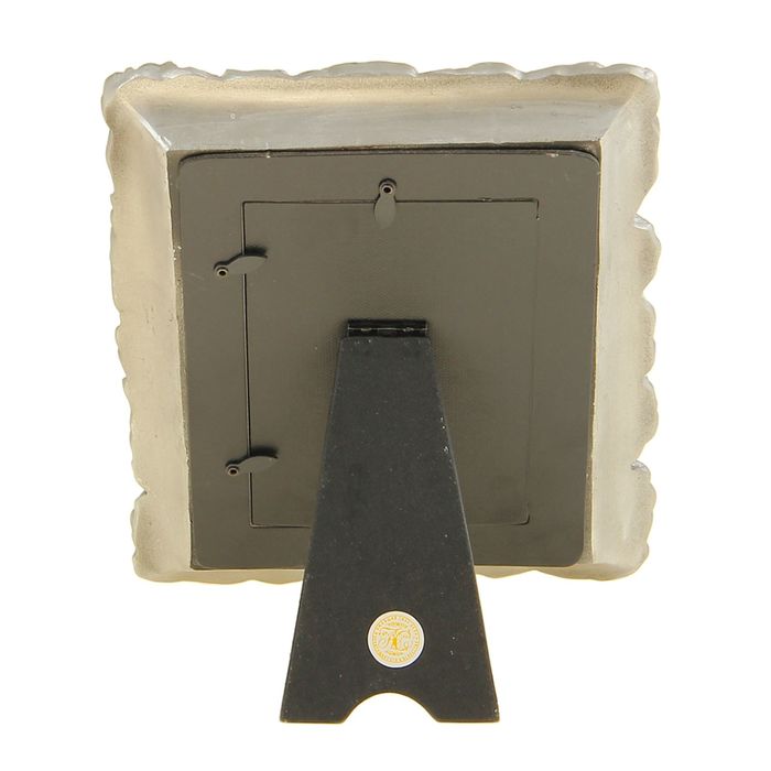 Фоторамка "Анютины глазки в серебре" 10х15 см