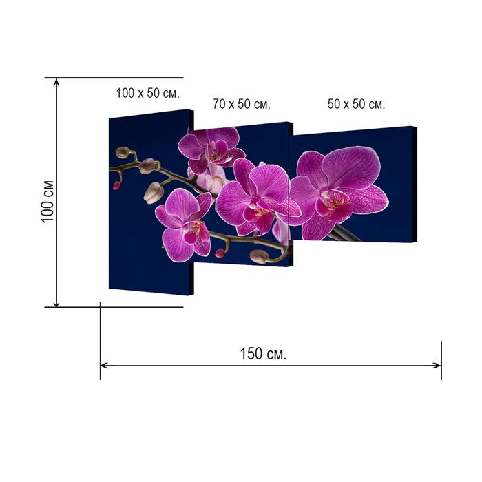 Модульная картина на подрамнике "Орхидея", 50×100 см, 50×70 см, 50×50 см, 100×150 см