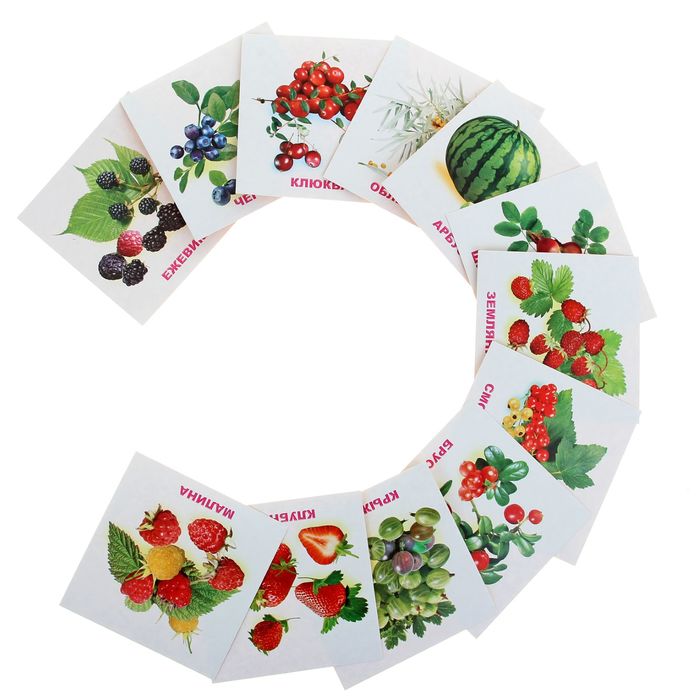 Обучающие карточки "Ягоды", 12 штук