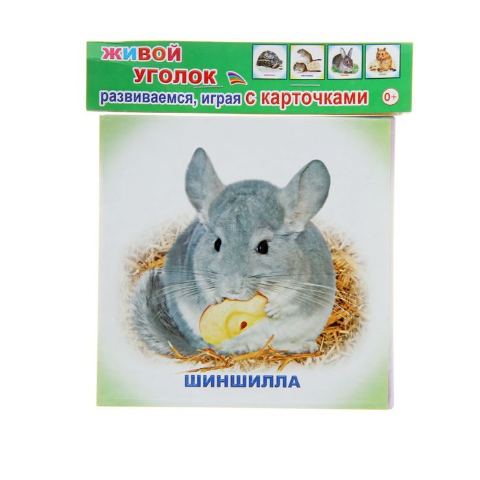 Обучающие карточки "Живой уголок", 12 штук