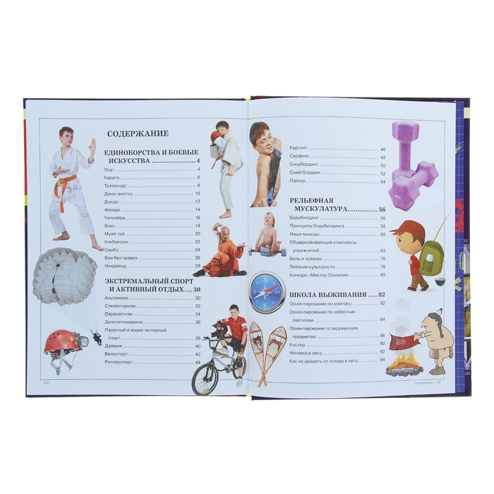 Большая книга самых необходимых знаний для мальчиков. автор: Цеханский С.П.