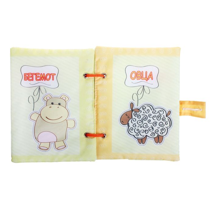 Книжка "Познавалка"