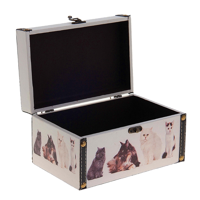 Шкатулка-сундучок "Котятки"