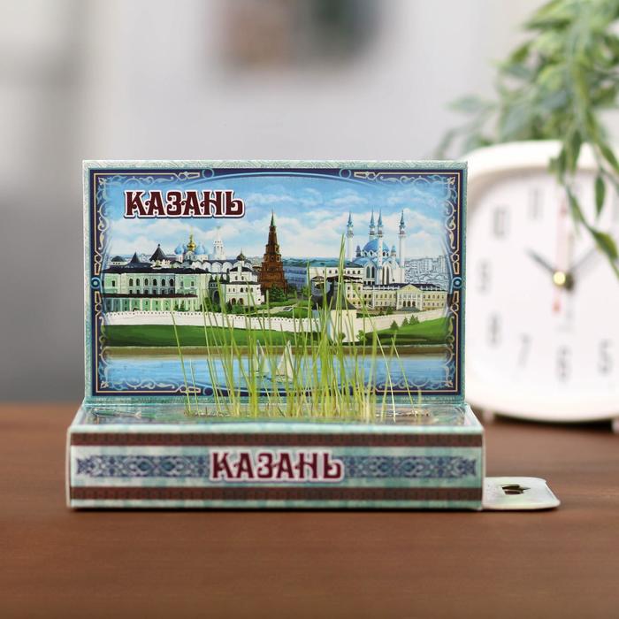 Растущая травка в открытке «Казань»
