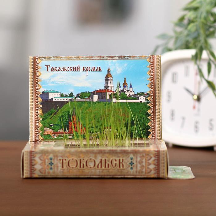 Растущая травка в открытке "Тобольск"