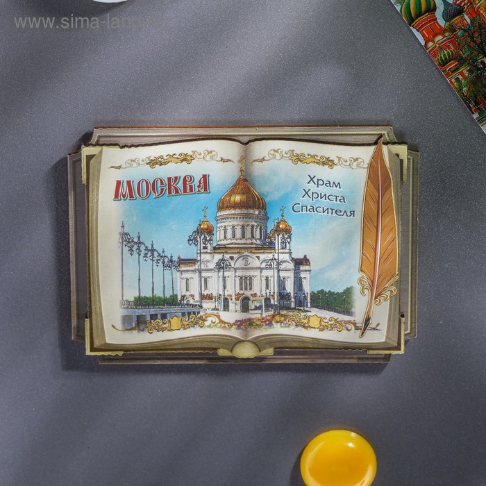 

Магнит «Москва»