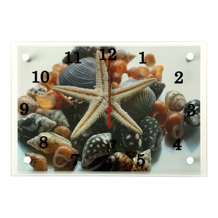 Часы настенные прямоугольные "Ракушки", 25х35 см