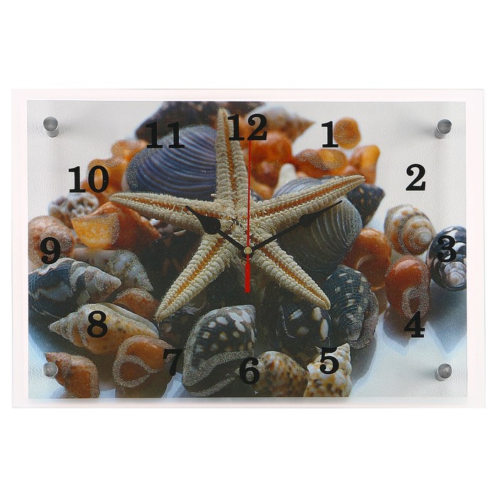 Часы настенные прямоугольные "Ракушки", 25х35 см