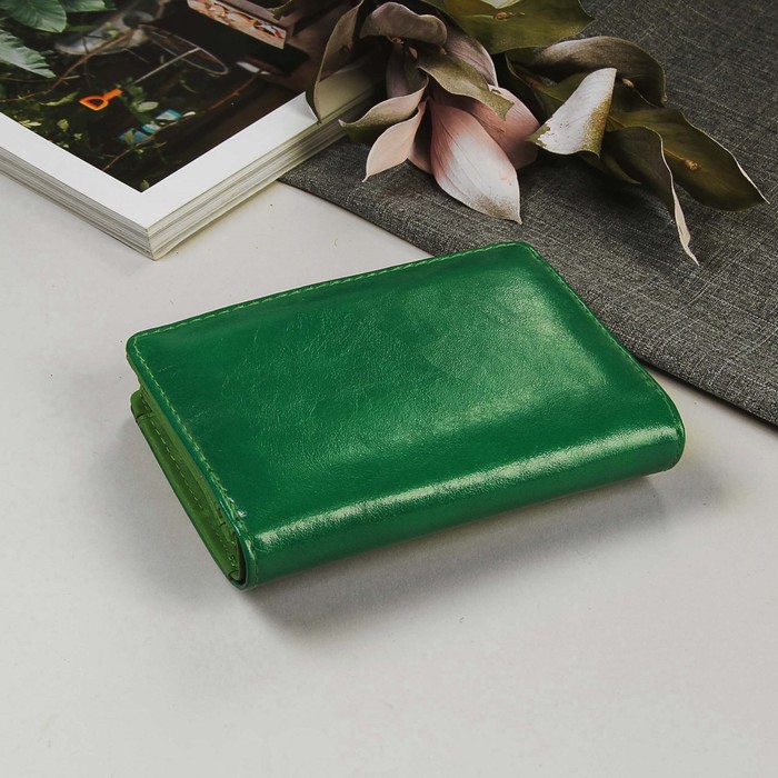 Кошелёк женский "Глянец", 1 отдел, 2 отдела на рамке, отдел для кредиток, цвет зеленый