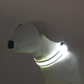 Ошейник с подсветкой и 2 светоотражающими полосами, 38-40 см, 3 режима свечения, белый от Сима-ленд