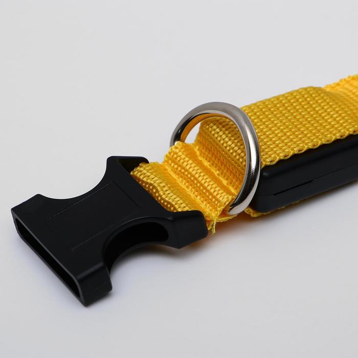 Ошейник с подсветкой, 40-45 см, 3 режима свечения, желтый