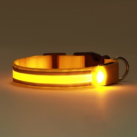 Ошейник с подсветкой и 2 светоотражающими полосами, 45-50 см, 3 режима свечения, жёлтый от Сима-ленд