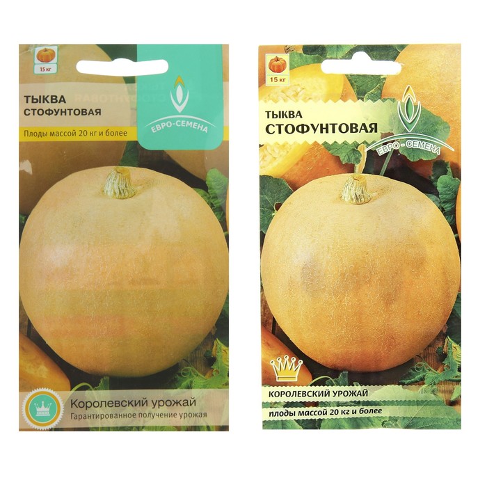 Семена Тыква Стофунтовая 10 шт.