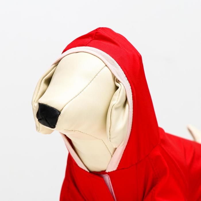 Комбинезон для собак, размер L (ДС 30 см, ОГ 38 см), красный