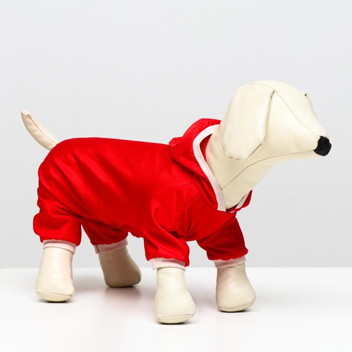 Комбинезон для собак, размер L (ДС 30 см, ОГ 38 см), красный